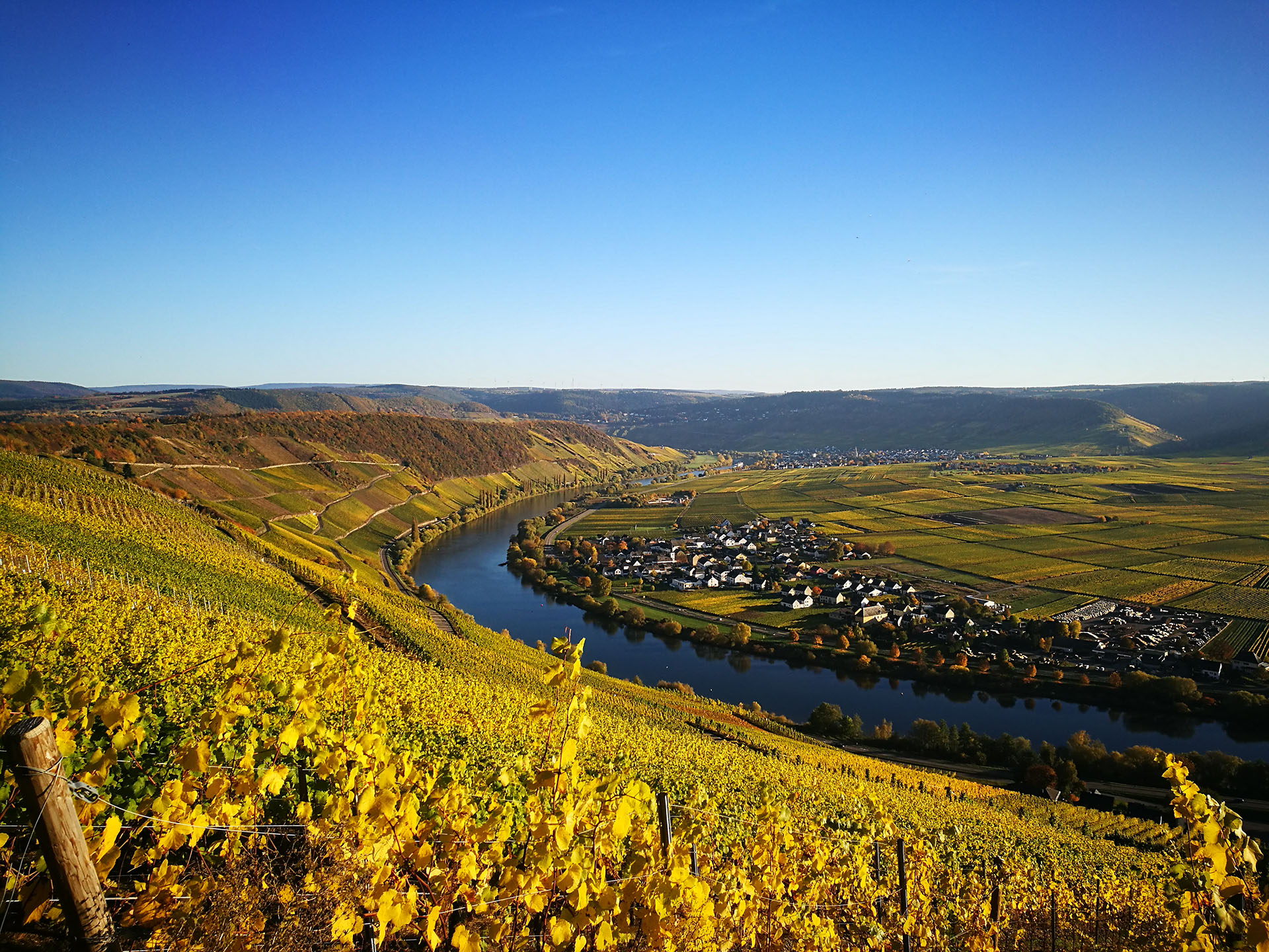 Mosellandschaft Panoramabild