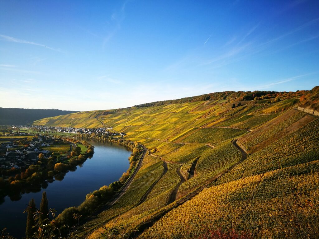 Weinbergslage Klüsserather Bruderschaft