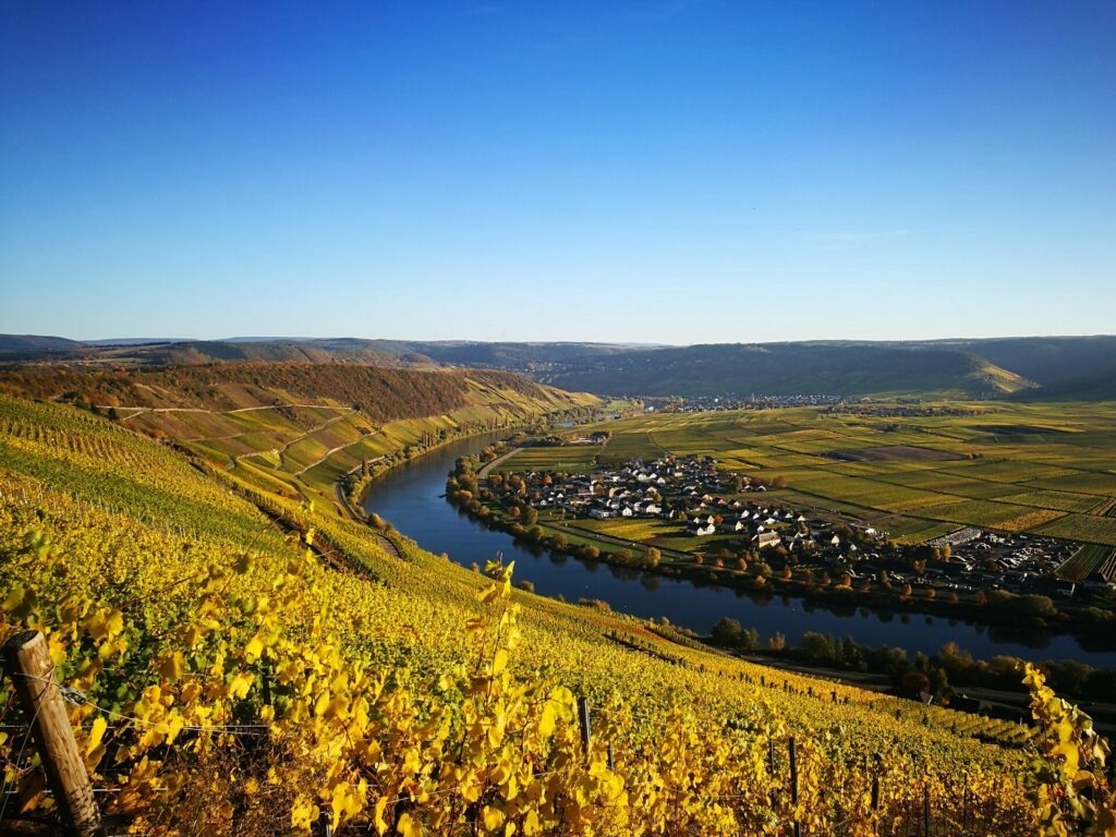 Weinbergslage Köwericher Laurentiuslay